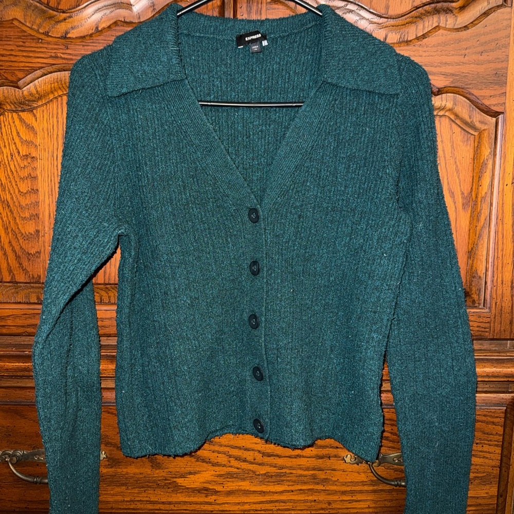 Express Teal/Green Cardigan Sweater